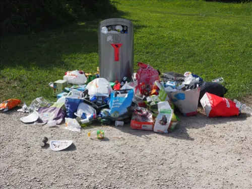 Trash-Pickup--in-Miami-Beach-Florida-trash-pickup-miami-beach-florida.jpg-image