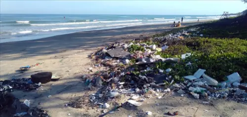 Waste-Pickup--in-Hallandale-Florida-waste-pickup-hallandale-florida.jpg-image